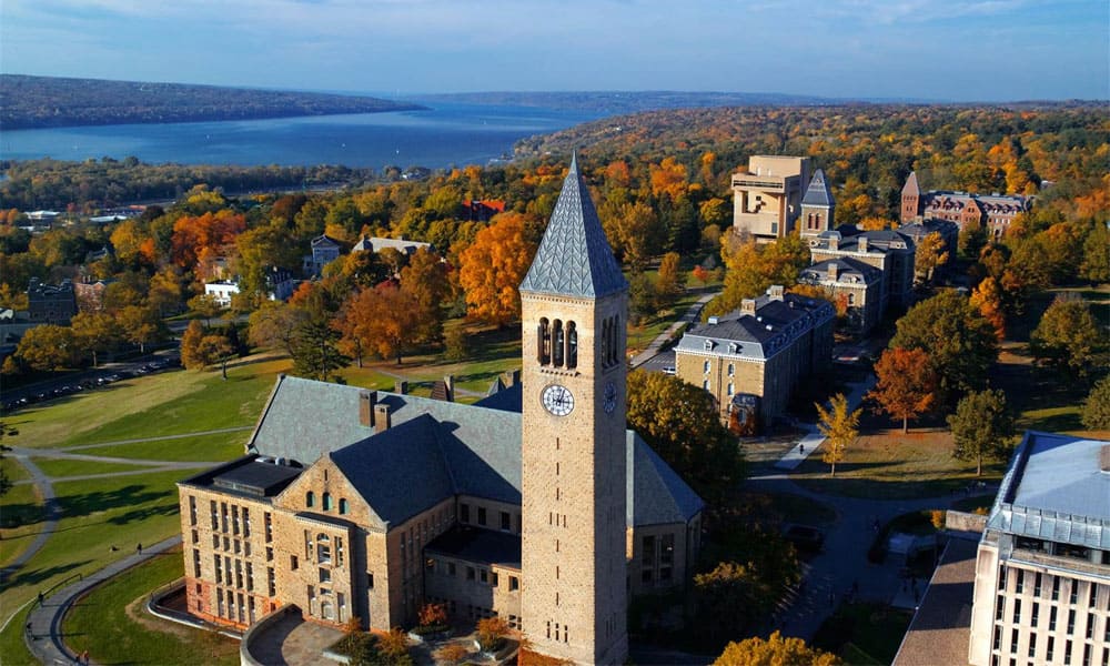 Cornell University
